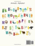 Alphabet And Number Coloring (1)